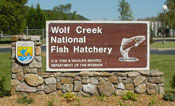 Wolf Creek National Fish
                          Hatchery
